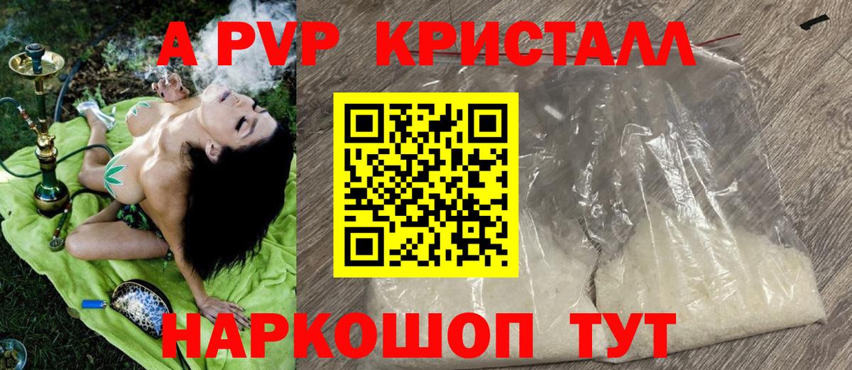 A PVP СК Луга