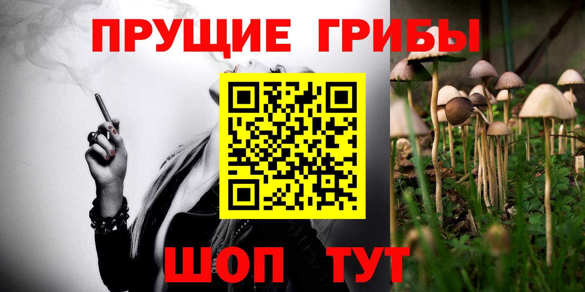 Галлюциногенные грибы ЛСД  Вход с VPN  Луга  Галлюциногенные грибы прущие грибы 